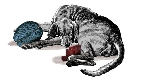 metafora-mendigo_algundia